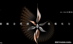 二套30%-50%）·定金：购房时领取的金（凡是不跨